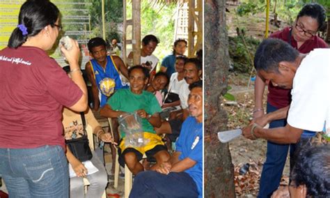 almaciga tree|DOST.